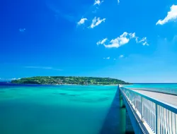 1 Day Sightseeing  Bus Tour of Okinawa with American Village